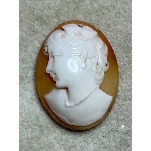 画像1: シェルカメオルース1920年イギリス