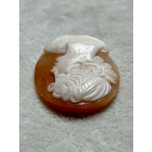 画像6: シェルカメオルース1920年イギリス