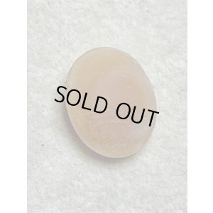 画像4: シェルカメオルース1880年イギリス