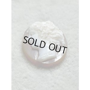 画像8: シェルカメオルース1880年イギリス