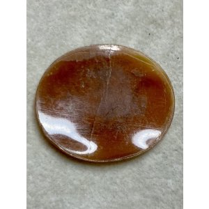 画像4: シェルカメオルース1880年イギリス