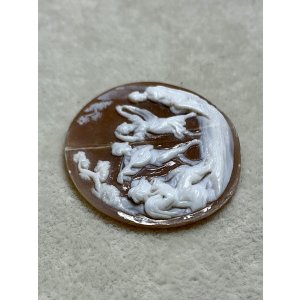 画像7: シェルカメオルース1880年イギリス