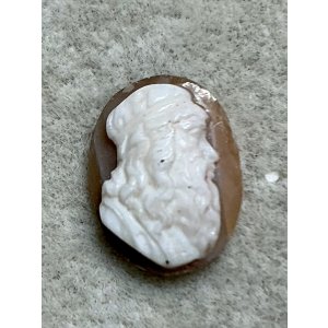 画像9: シェルカメオルース1880年イギリス