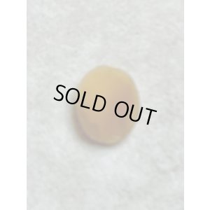 画像4: シェルカメオルース1880年イギリス