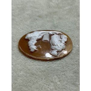 画像6: シェルカメオルース1880年イギリス