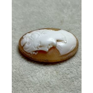 画像7: シェルカメオルース1920年イギリス