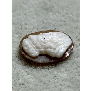 画像7: シェルカメオルース1880年イギリス