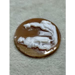 画像7: シェルカメオルース1880年イギリス