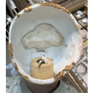 画像14: リトアニアから来たエデンベベ9号