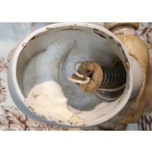 画像19: ポートレート ジュモーファーストシリーズ1号　星ビルコレクション