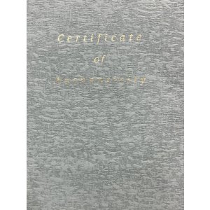 画像26: EJデポゼ10号　星ビルコレクション