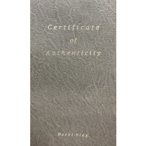 画像2: ブルーの衣装が素敵なポートレート ジュモー　星ビルコレクション