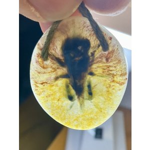 画像7: パート・ド・ヴェールのハチのペンダント　ワルター　1920年フランス