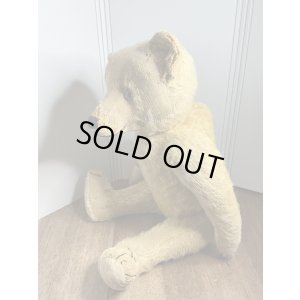 画像3: ゴールデンモヘアジャーマンテディベア1920年只今御商談中です