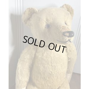 画像9: ゴールデンモヘアジャーマンテディベア1920年只今御商談中です