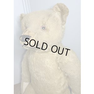 画像11: ゴールデンモヘアジャーマンテディベア1920年只今御商談中です