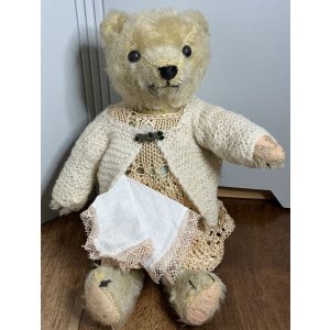 画像1: 素敵なカーディガンとクローバーのブローチとハンカチを持ったお洒落なテディベア1920年ドイツ