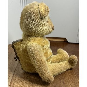 画像3: とても珍しいお財布テディベア1920年ドイツ