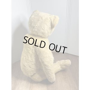 画像6: ゴールデンモヘアジャーマンテディベア1920年只今御商談中です