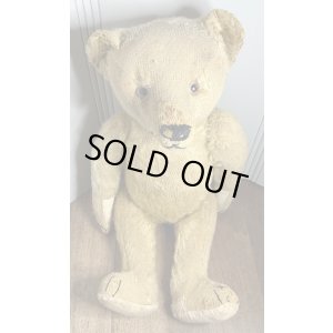 画像12: ゴールデンモヘアジャーマンテディベア1920年只今御商談中です