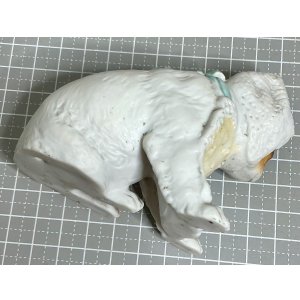 画像4: レースのボンネットを着せられて嫌がっているホイバッハビスクドッグ1905年ドイツ