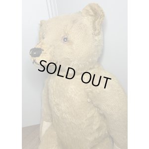 画像10: ゴールデンモヘアジャーマンテディベア1920年只今御商談中です