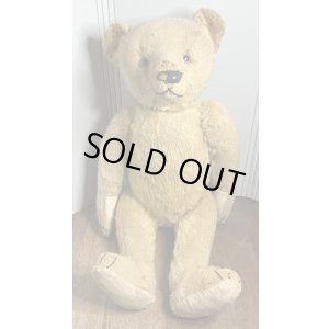画像13: ゴールデンモヘアジャーマンテディベア1920年只今御商談中です