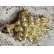 画像6: おしゃれな甲羅の亀のビンテージブローチ