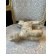 画像12: 希少なコンクパールの母貝で彫られたコンクシェルカメオブローチ