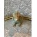 画像27: 希少なコンクパールの母貝で彫られたコンクシェルカメオブローチ
