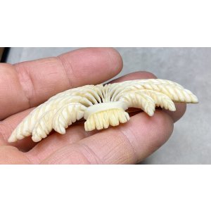 画像8: ビクトリア期アイボリーブローチ1880年イギリス