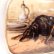画像6: 眠るワンちゃんが愛らしい細密画のブローチ♪　犬 /9K・陶板/ ビクトリア期・イギリス/ゴードン・セッター