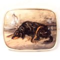 眠るワンちゃんが愛らしい細密画のブローチ♪　犬 /9K・陶板/ ビクトリア期・イギリス/ゴードン・セッター